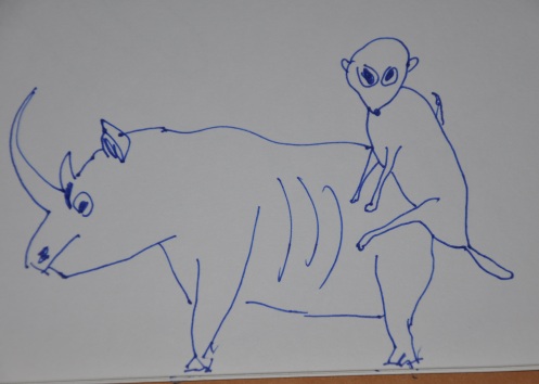 meerkat-on-rhinoceros1